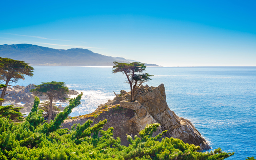Picture of Monterey & Carmel Christmas by Rail 12/15/2025-12/18/2025