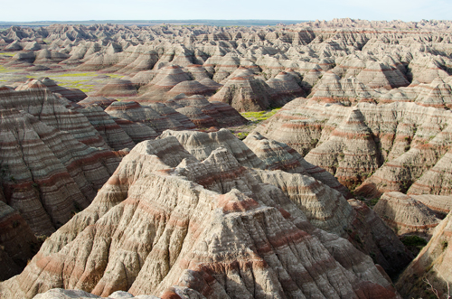 Picture of Black Hills, Badlands & Buffaloes