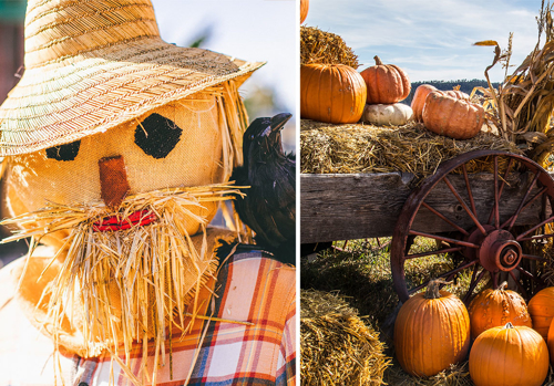Picture of Scarecrows & Surprises on the Central Coast